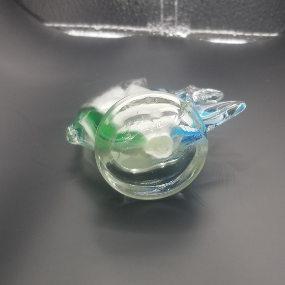 Glass fish - Picture 14 of 16